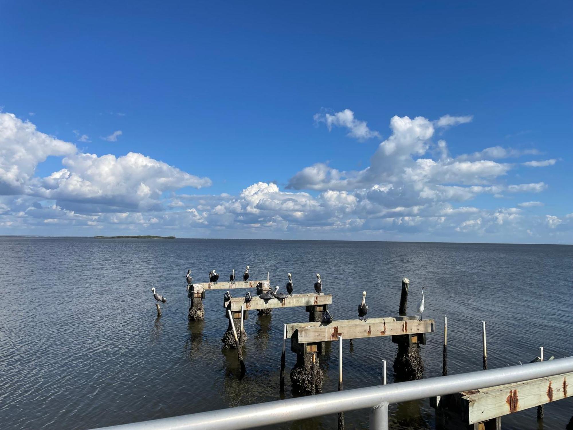 Cedar Key Florida Condo At Park Place Luaran gambar