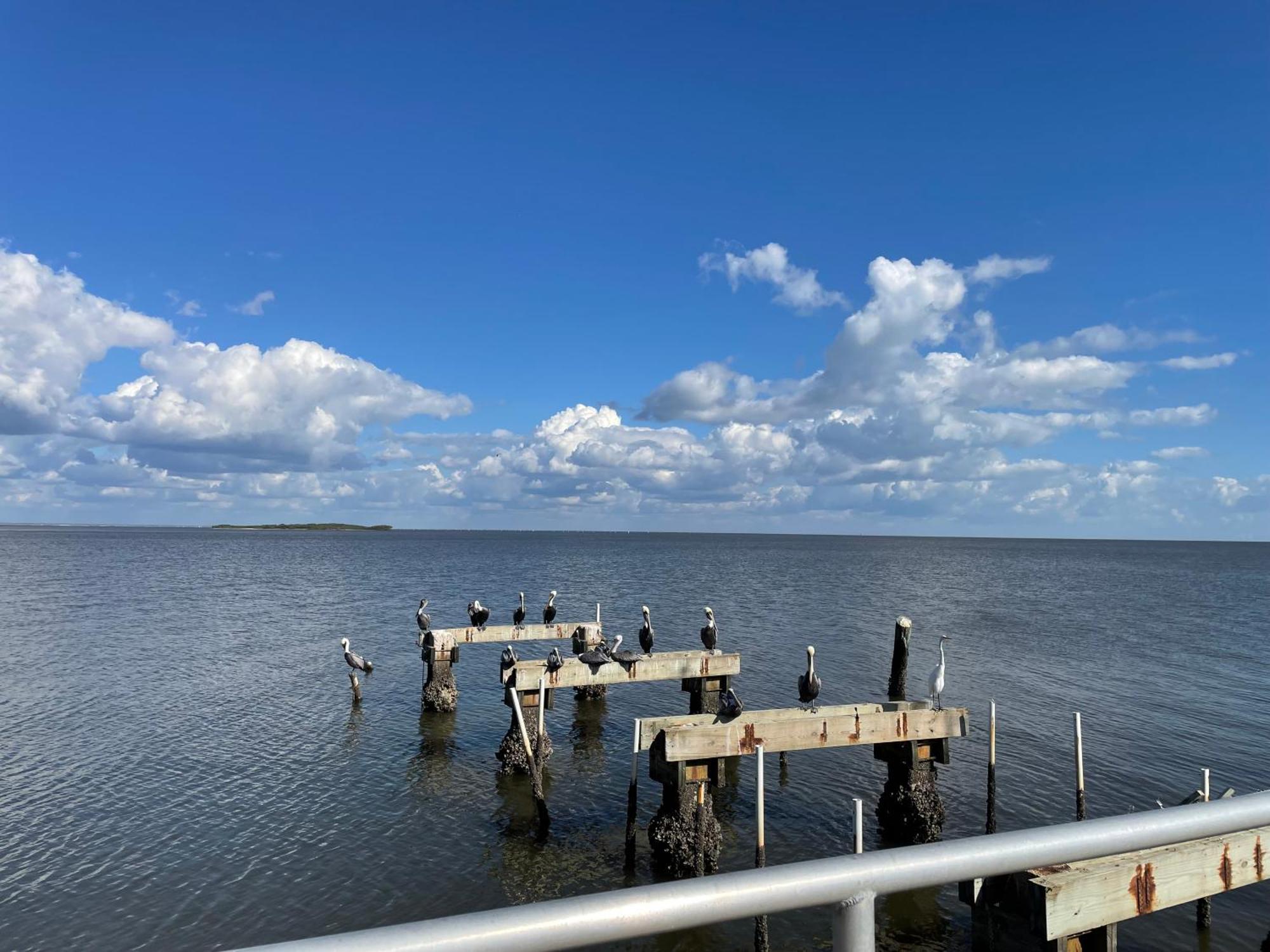 Cedar Key Florida Condo At Park Place Luaran gambar